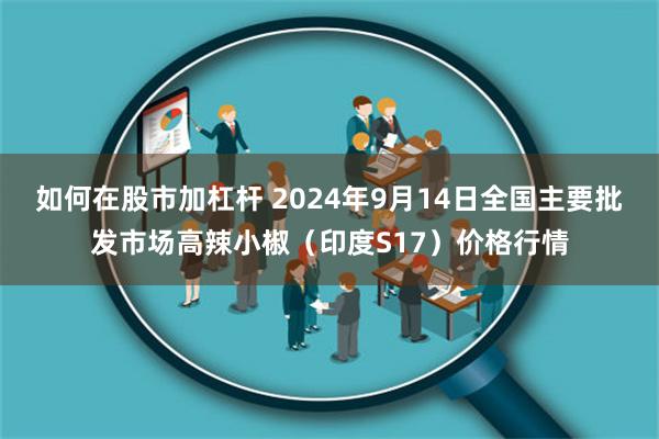 如何在股市加杠杆 2024年9月14日全国主要批发市场高辣小椒（印度S17）价格行情