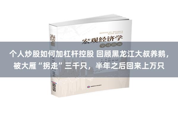 个人炒股如何加杠杆控股 回顾黑龙江大叔养鹅，被大雁“拐走”三千只，半年之后回来上万只