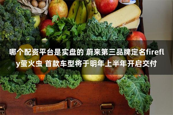 哪个配资平台是实盘的 蔚来第三品牌定名firefly萤火虫 首款车型将于明年上半年开启交付