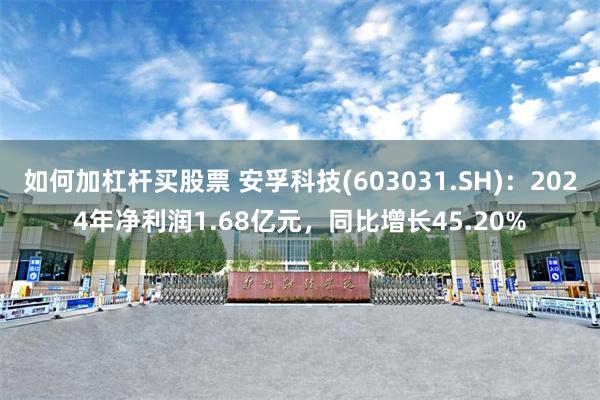 如何加杠杆买股票 安孚科技(603031.SH)：2024年净利润1.68亿元，同比增长45.20%