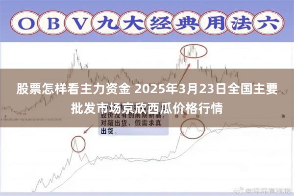 股票怎样看主力资金 2025年3月23日全国主要批发市场京欣西瓜价格行情