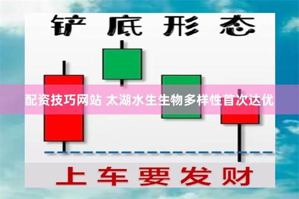 配资技巧网站 太湖水生生物多样性首次达优