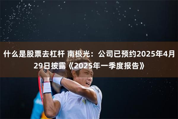 什么是股票去杠杆 南极光：公司已预约2025年4月29日披露《2025年一季度报告》