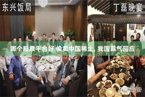 哪个股票平台好 偷卖中国稀土, 我国霸气回应