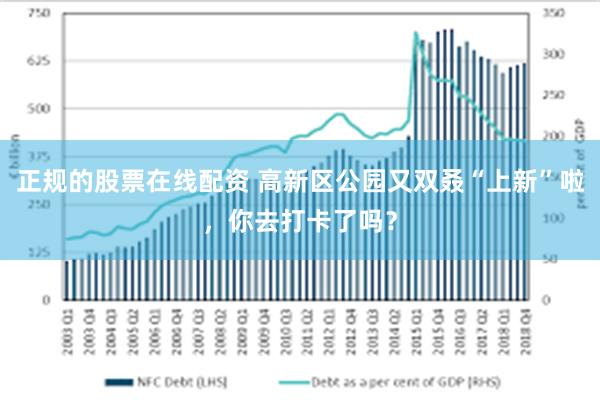 正规的股票在线配资 高新区公园又双叒“上新”啦，你去打卡了吗？