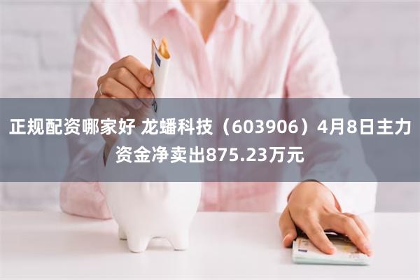 正规配资哪家好 龙蟠科技（603906）4月8日主力资金净卖出875.23万元