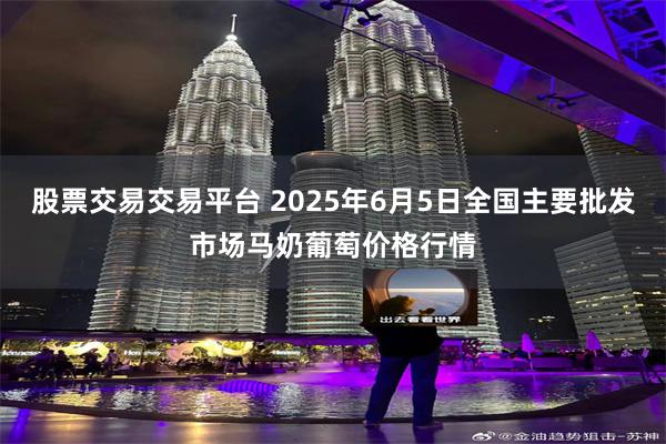 股票交易交易平台 2025年6月5日全国主要批发市场马奶葡萄价格行情