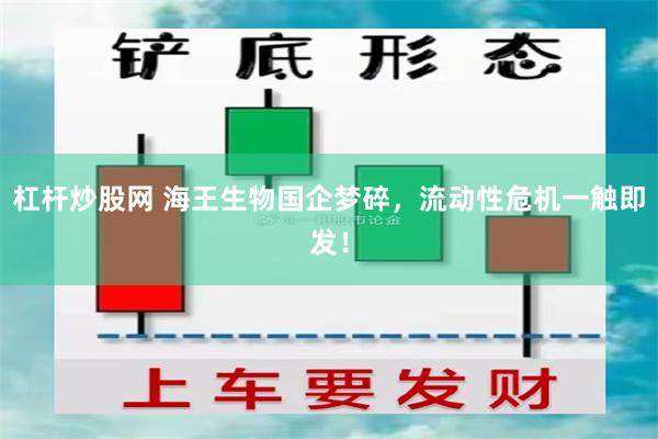 杠杆炒股网 海王生物国企梦碎，流动性危机一触即发！