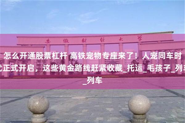 怎么开通股票杠杆 高铁宠物专座来了！人宠同车时代正式开启，这些黄金路线赶紧收藏_托运_毛孩子_列车