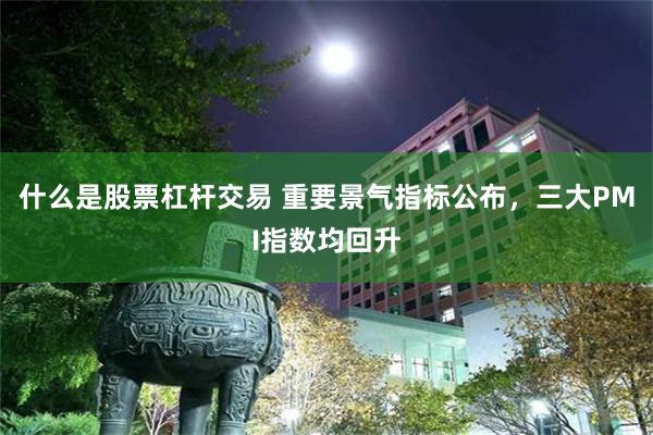 什么是股票杠杆交易 重要景气指标公布，三大PMI指数均回升