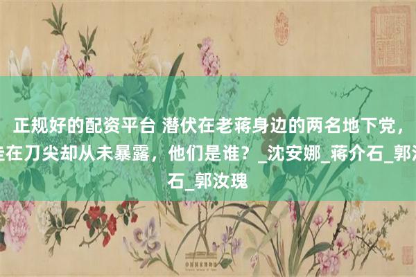 正规好的配资平台 潜伏在老蒋身边的两名地下党，游走在刀尖却从未暴露，他们是谁？_沈安娜_蒋介石_郭汝瑰