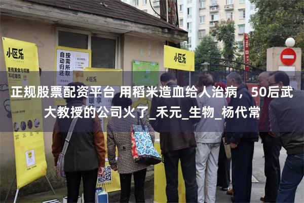 正规股票配资平台 用稻米造血给人治病，50后武大教授的公司火了_禾元_生物_杨代常