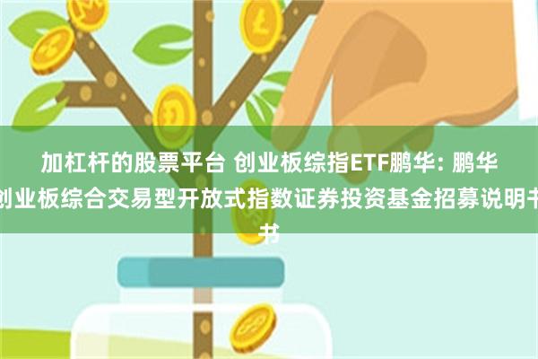 加杠杆的股票平台 创业板综指ETF鹏华: 鹏华创业板综合交易型开放式指数证券投资基金招募说明书