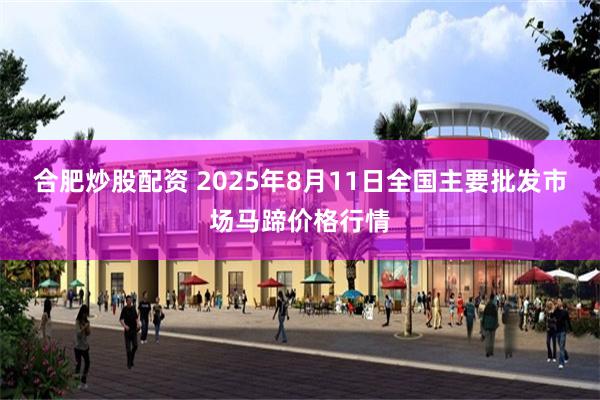 合肥炒股配资 2025年8月11日全国主要批发市场马蹄价格行情