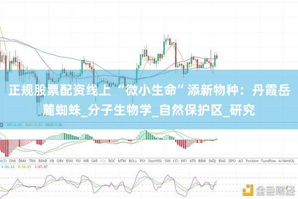 正规股票配资线上 “微小生命”添新物种：丹霞岳麓蜘蛛_分子生物学_自然保护区_研究