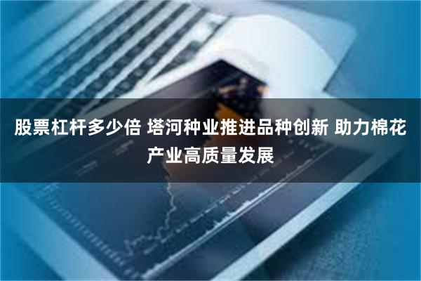 股票杠杆多少倍 塔河种业推进品种创新 助力棉花产业高质量发展