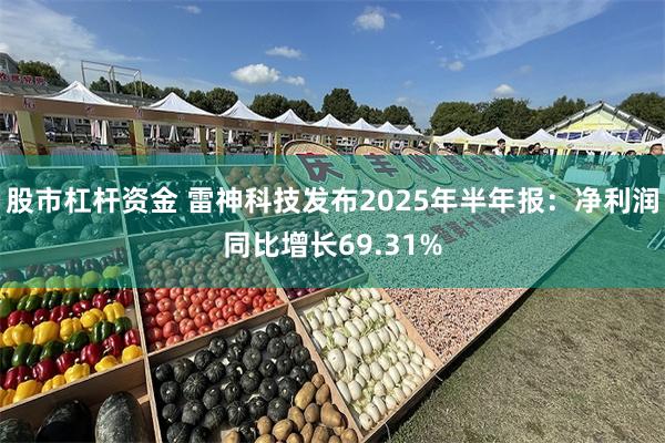 股市杠杆资金 雷神科技发布2025年半年报：净利润同比增长69.31%