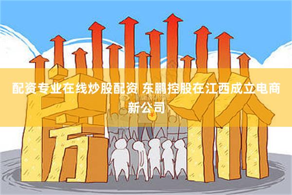 配资专业在线炒股配资 东鹏控股在江西成立电商新公司